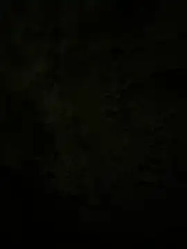 Lilymoonshow online show from 02-17-25, 02:31