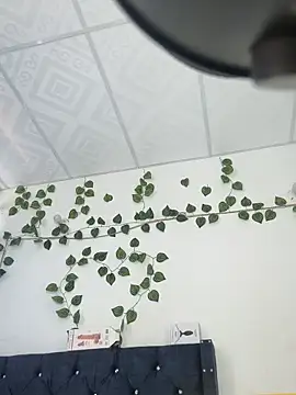 Snapshot of miaa--pervert chatting on 01-15-25, 01:20 miaa--pervert online show from 01-15-25, 01:20