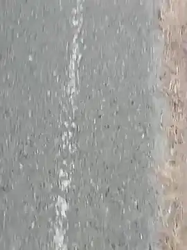 Snapshot of Jinenez chatting on 02-27-25, 10:20 Jinenez online show from 02-27-25, 10:20