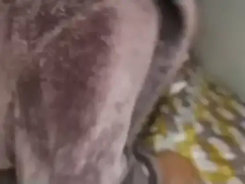 Snapshot of Chandy012 chatting on 09-19-25, 01:12 Chandy012 online show from 09-19-25, 01:12