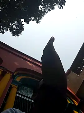 Snapshot of xx54362 chatting on 03-01-25, 07:19 xx54362 online show from 03-01-25, 07:19