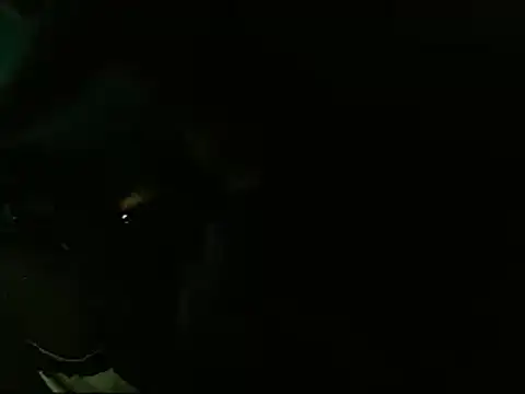 Snapshot of Lliam_2 chatting on 01-20-25, 06:31 Lliam 2 online show from 01-20-25, 06:31