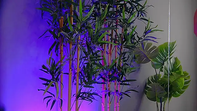 PatriciaSpice online show from 11-09-25, 05:28