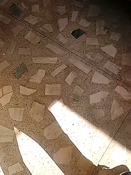 Raj41 online show from 11-19-25, 04:34