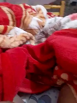 mhmia online show from 02-06-25, 01:16