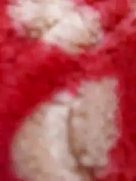 mhmia online show from 02-08-25, 05:29