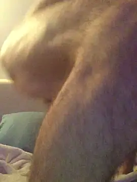 Pilote19 online show from 12-01-25, 05:51