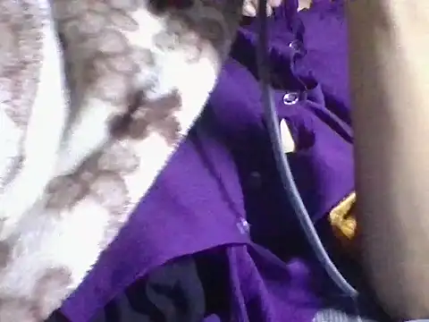 Snapshot of AKANSHA_7 chatting on 11-01-25, 04:53 AKANSHA 7 online show from 11-01-25, 04:53