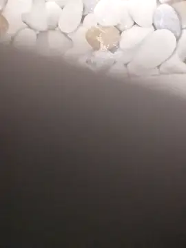 Snapshot of Playboy_bhabhi_00 chatting on 02-20-25, 07:23 Playboy bhabhi 00 online show from 02-20-25, 07:23