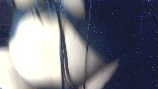 Leelasissy online show from 03-06-26, 05:20