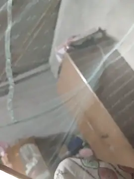 birds0641 online show from 03-31-26, 07:36