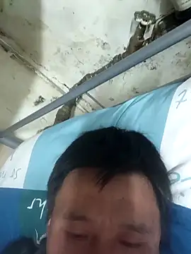 wadmma online show from 03-31-26, 08:42