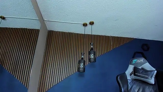 Snapshot of ErickCarmack chatting on 02-25-25, 04:24 ErickCarmack online show from 02-25-25, 04:24