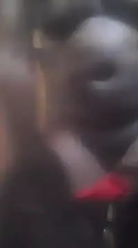 ratolakasexyx online show from 01-31-25, 12:07