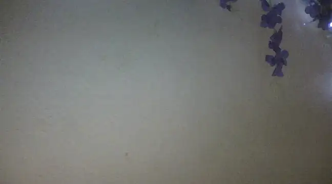 Snapshot of xxsexycutexxx chatting on 02-18-25, 06:04 xxsexycutexxx online show from 02-18-25, 06:04