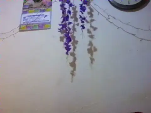 Snapshot of xxsexycutexxx chatting on 03-03-25, 02:04 xxsexycutexxx online show from 03-03-25, 02:04