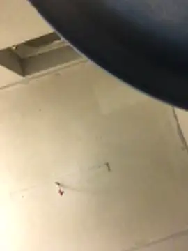 cumcum94 online show from 02-17-26, 07:53