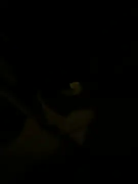 sark0606 online show from 02-06-25, 04:58