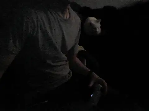 MarioKnero online show from 02-26-26, 09:52