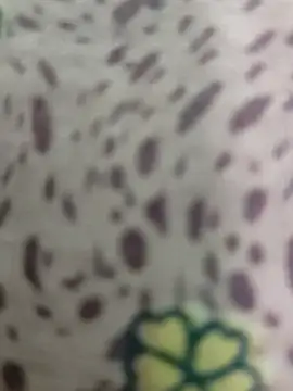 Snapshot of Yashkumar_0697 chatting on 03-10-25, 07:07 Yashkumar 0697 online show from 03-10-25, 07:07