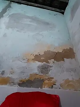 Snapshot of shuelldin chatting on 10-29-25, 02:47 shuelldin online show from 10-29-25, 02:47