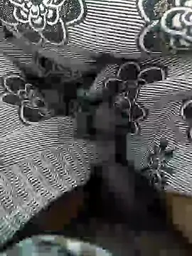 Tamil small cock online show from 03-05-25, 10:00