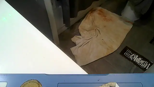 ShysluutGia online show from 04-23-26, 06:54