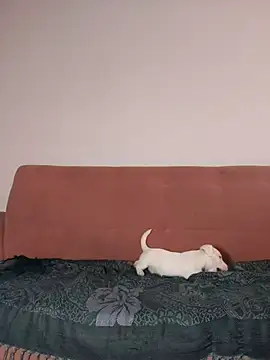 Jehan Soto online show from 09-09-25, 05:12