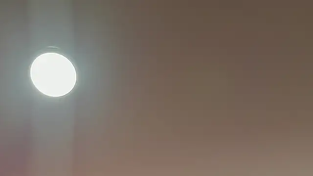 alice lodge online show from 03-22-25, 03:09