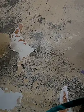 urrubybaby online show from 02-14-25, 10:28