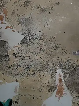 urrubybaby online show from 02-15-25, 08:44