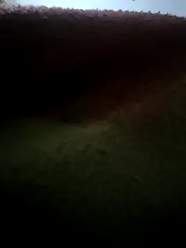 urrubybaby online show from 02-17-25, 02:59