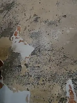 urrubybaby online show from 02-20-25, 09:44