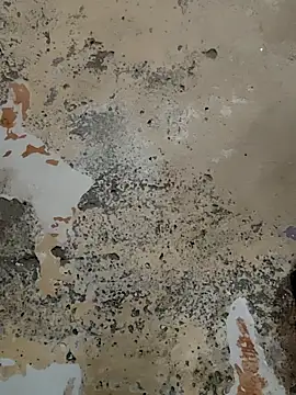 urrubybaby online show from 02-21-25, 07:12