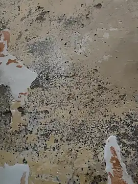 urrubybaby online show from 02-21-25, 05:31