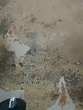 urrubybaby online show from 02-22-25, 04:09