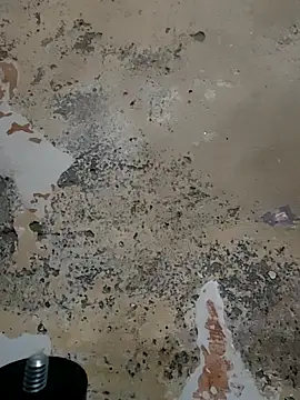 urrubybaby online show from 02-23-25, 05:45