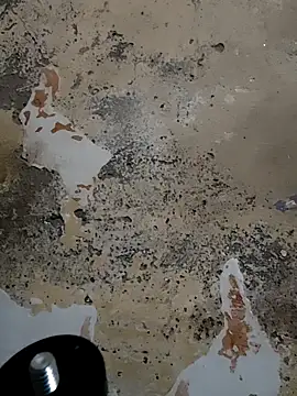 urrubybaby online show from 02-23-25, 10:28