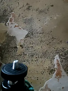 urrubybaby online show from 02-24-25, 11:54