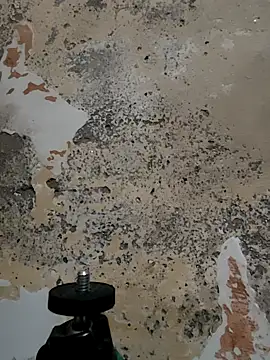 urrubybaby online show from 03-11-25, 06:32