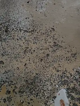 urrubybaby online show from 03-13-25, 06:26