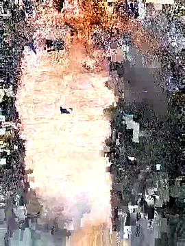 erinadarling79 online show from 09-25-25, 10:02