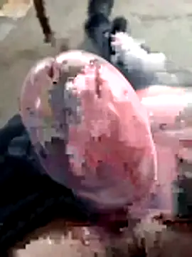 mar4oto1 online show from 03-14-26, 11:37