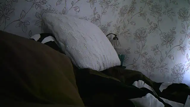 Teemu online show from 09-27-25, 02:33