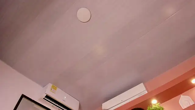 SofiaBennett  online show from 04-29-26, 05:30