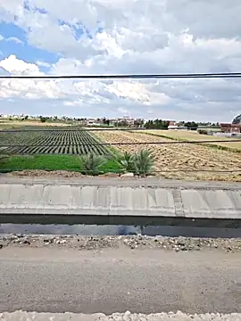 Loly2025 online show from 04-07-26, 01:22