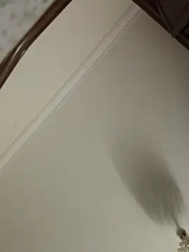 Loly2025 online show from 04-19-26, 01:16