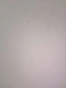 EmmaSulivan online show from 02-21-26, 11:11