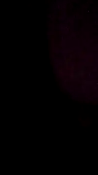 salchichon 69 online show from 03-11-26, 08:31