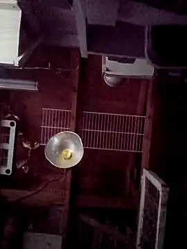 salchichon 69 online show from 03-31-26, 02:28